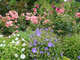 James Gardens late summer pastels by garden muses- a Toronto gardening blog