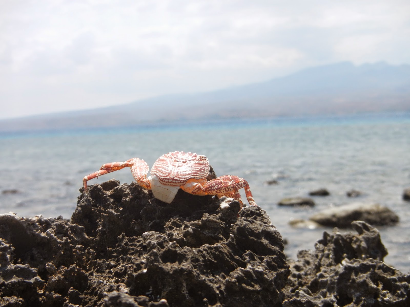 Pesona Wisata Kota Bima: Pantai So'Ati