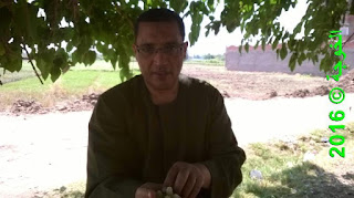 الحسينى محمد , الخوجة, بركة السبع,المنوفية,التعليم,المعلمين,فوائد أكل التوت,التوت,العلاج الطبيعى الحسينى محمد , الخوجة, بركة السبع,المنوفية,التعليم,المعلمين,فوائد أكل التوت,التوت,العلاج الطبيعى