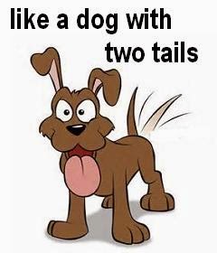 Dog With Two Tails in Dunedin Menu