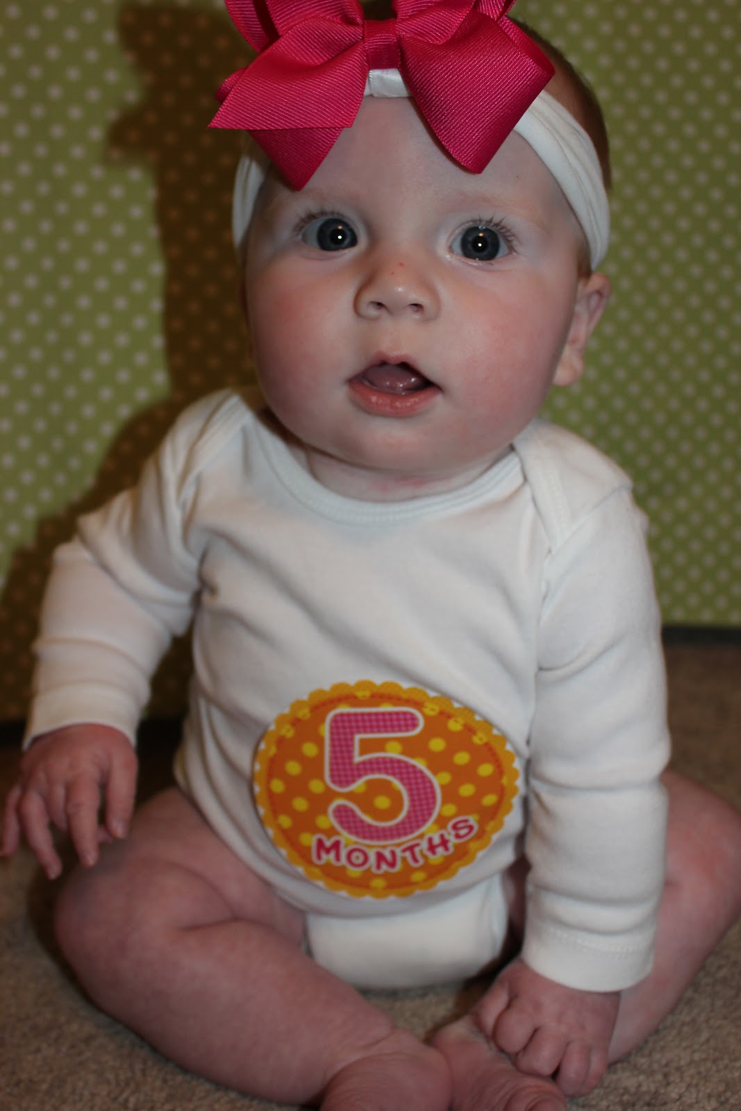 the-fitzgerald-funhouse-5-months-old