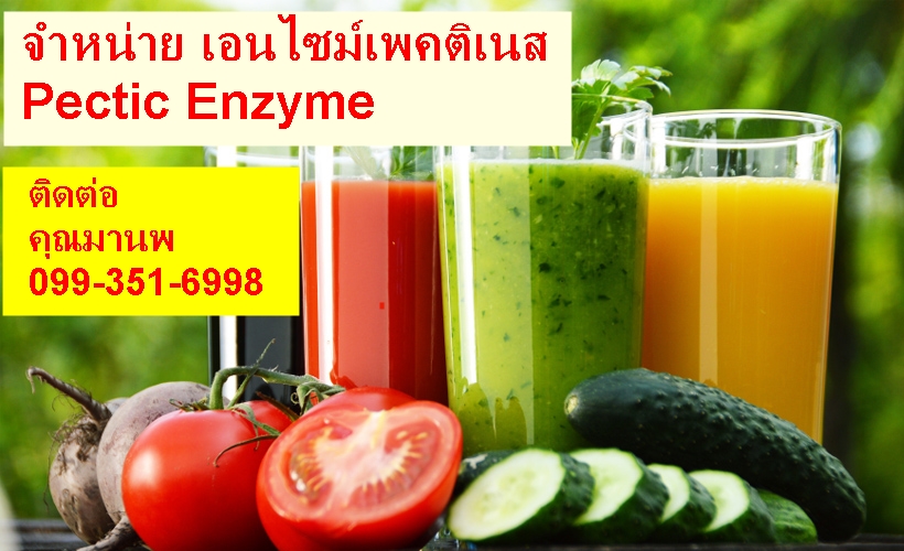 Best pectin enzyme, Pectinase enzyme จำหน่าย เอนไซม์เพคติน ประสิทธิ