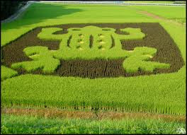 katak crop art katak crop art