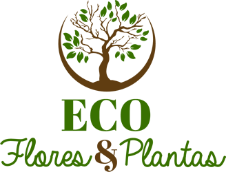 Eco Flores & Plantas