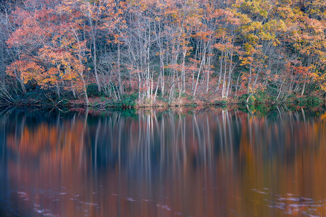 #photo #landscape #sigma #foveon #sdquattroh #japan #yamagata #tsuruoka #山形県 #鶴岡市 #山形帝國 #写真 #風景写真