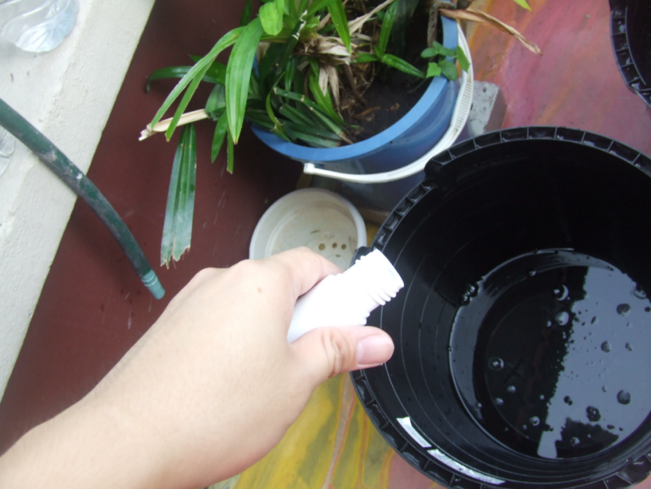 KALEX CAR DETAILING How to apply zymol wash and wax_zymol cleaner wax