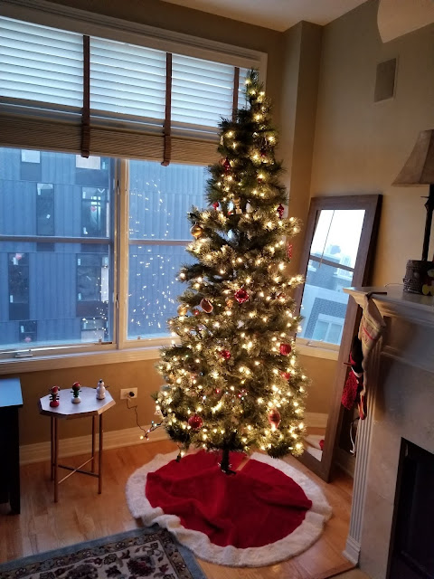 A Catholic Life: Traditional Blessing of a Christmas Tree Pre-Vatican II