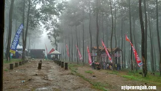 Kembang Langit 