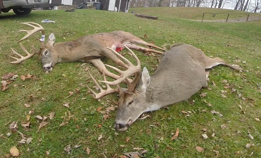 BONA FIDE SPORTSMAN FISHING/HUNTING REPORT 2016 OHIO DEER HUNTING