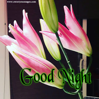 LOVELY GOOD NIGHT SWEET DREAMS TEXT MESSAGES - Beautiful Messages