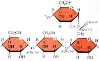 Emerald Biology: Fuel for Biofuel part 1
