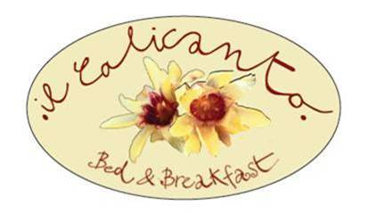 B&B..&B   Bed & Breakfast & Boutique