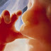 20 FATOS SURPREENDENTES SOBRE OS BEBÊS NA BARRIGA DA MAMÃE