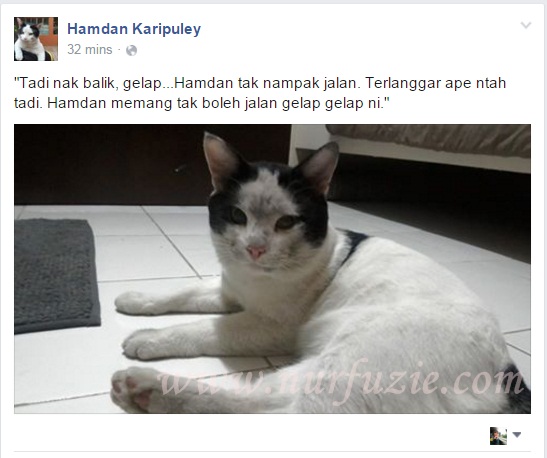 Hamdan Karipuley Si Kucing Comot