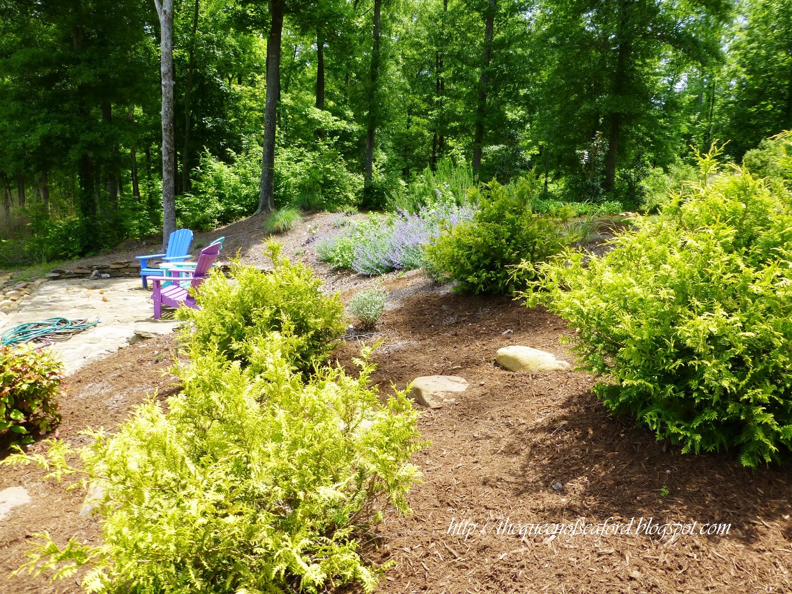 The Queen of Seaford Mulch, Mulch and More Mulch