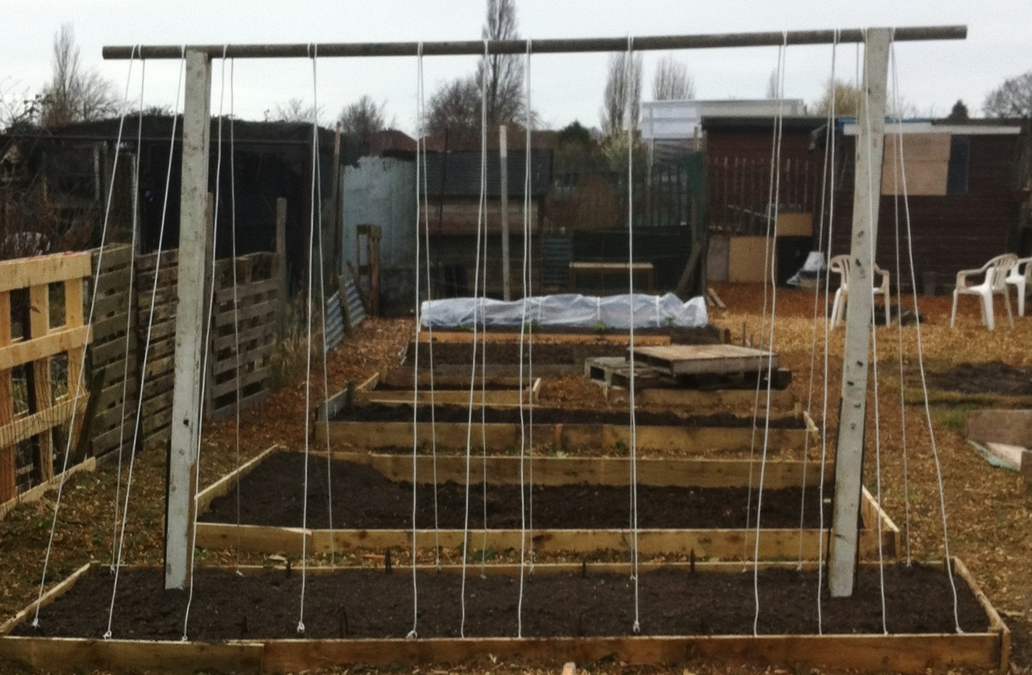 Bobs Allotment Diary D.I.Y runner bean frame.