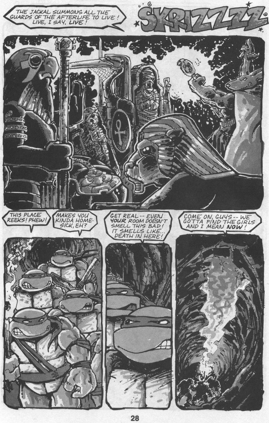 Teenage Mutant Ninja Turtles (1984) Issue #32 #32 - English 28