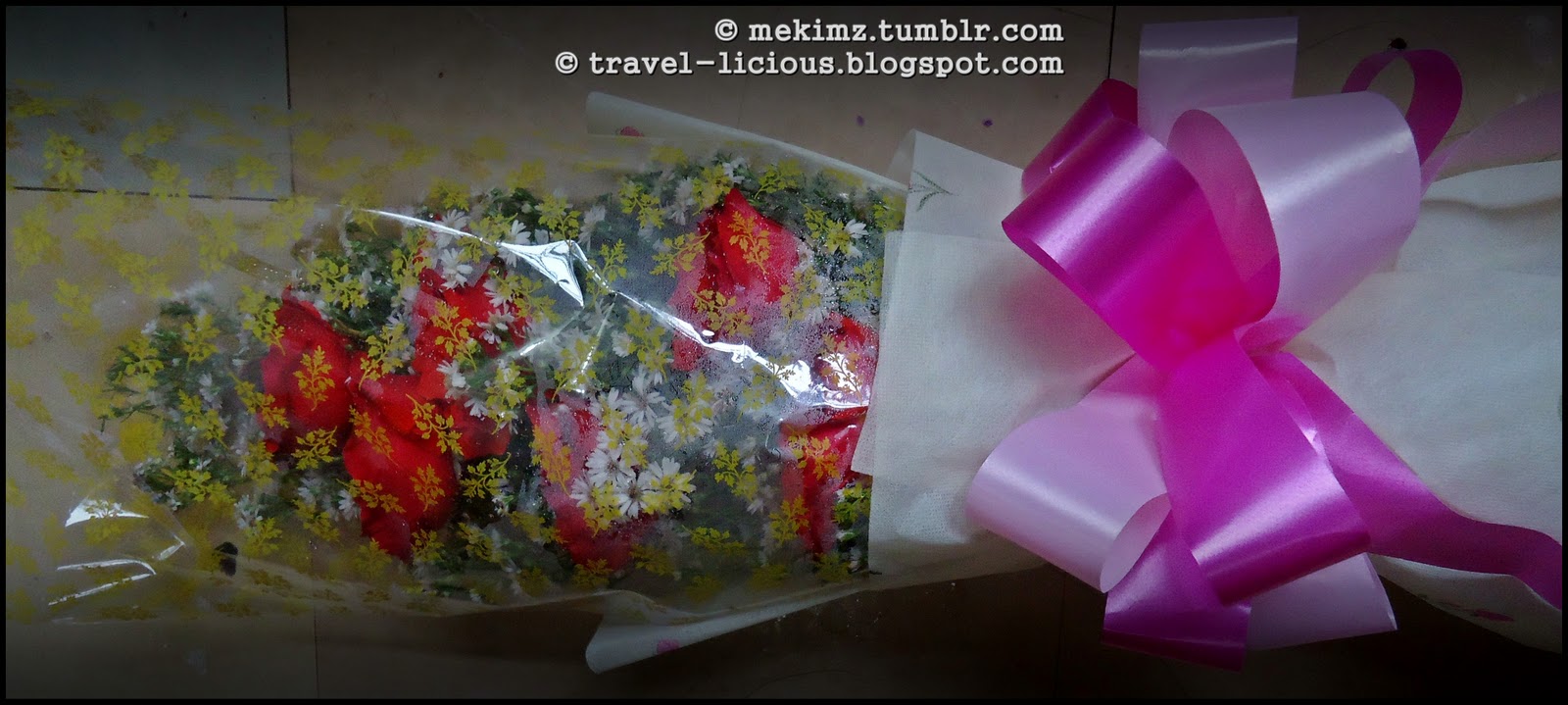 the traveller & her thoughts ROSES ARE RED.....