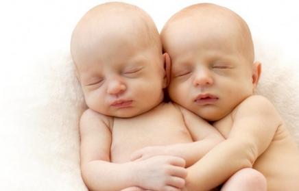 Cara Agar Hamil Anak Kembar 