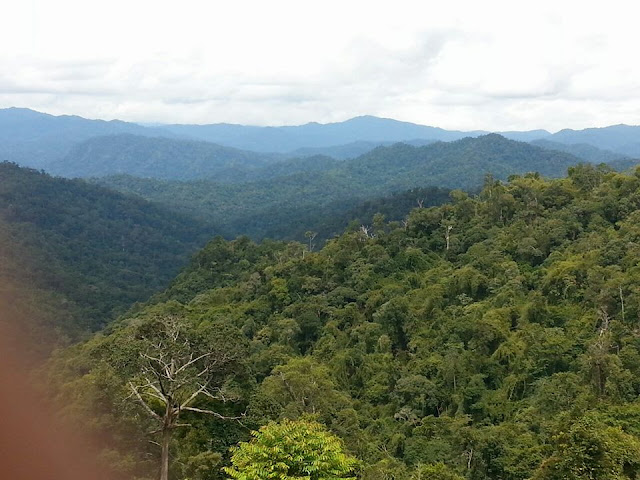 Pandangan-dari-kemuncak-Banjaran-Titiwangsa-Di-Lebuhraya-Timur-Barat