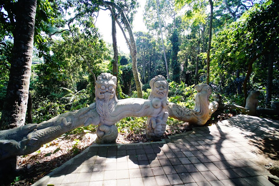 Monkey Forest Ubud, Bali