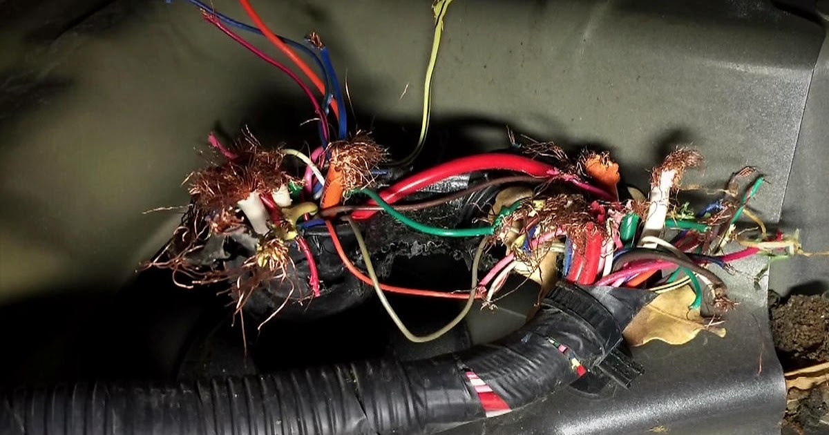 The Silicon Graybeard: Rats and the Law of Unintended ... 65 mustang fuse box wiring 