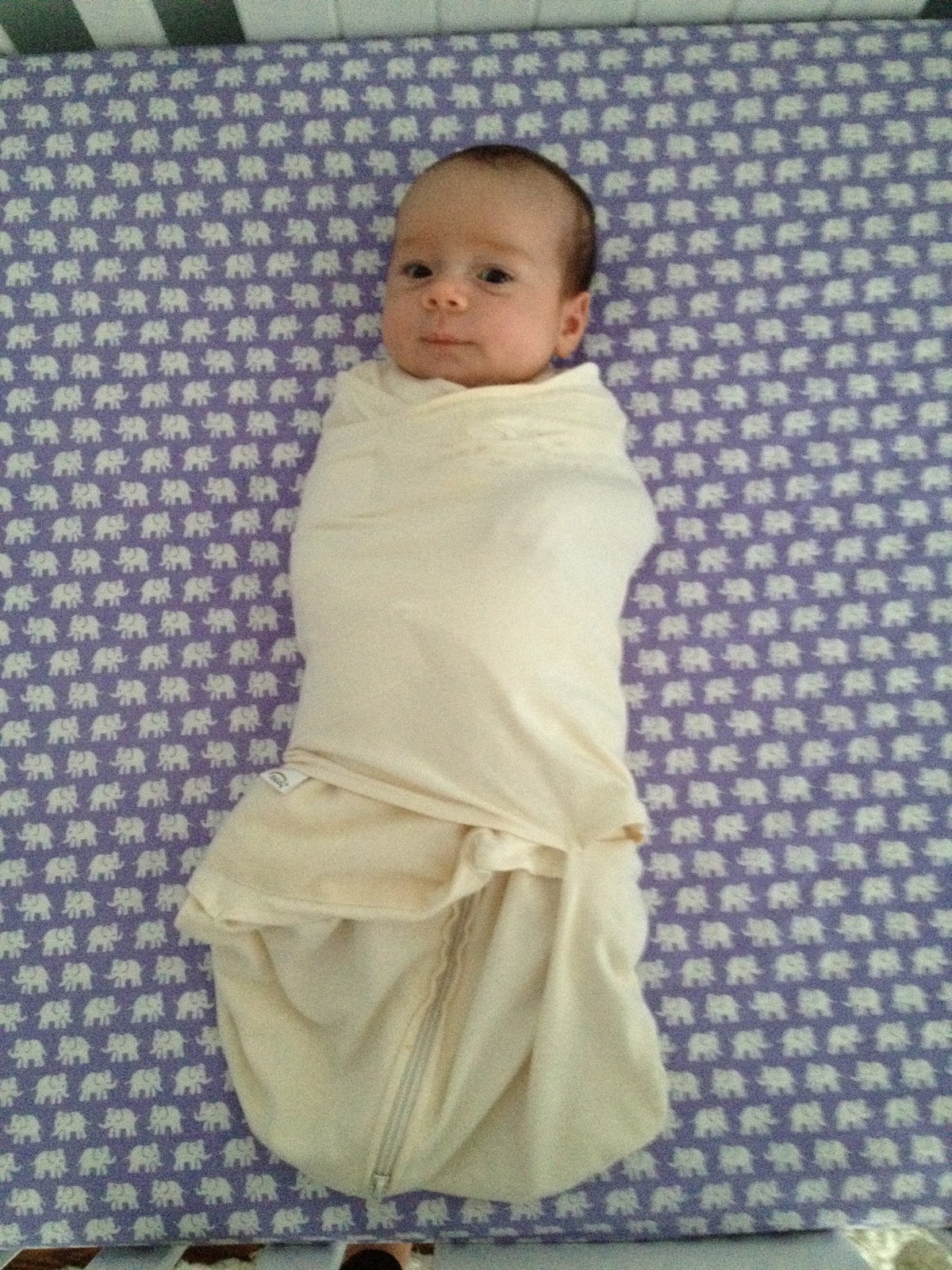 the mini traveling cupcake Baby Bondage (aka The Swaddle)