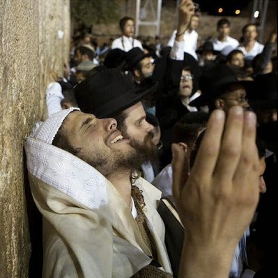 hasidic roots hasidic roots