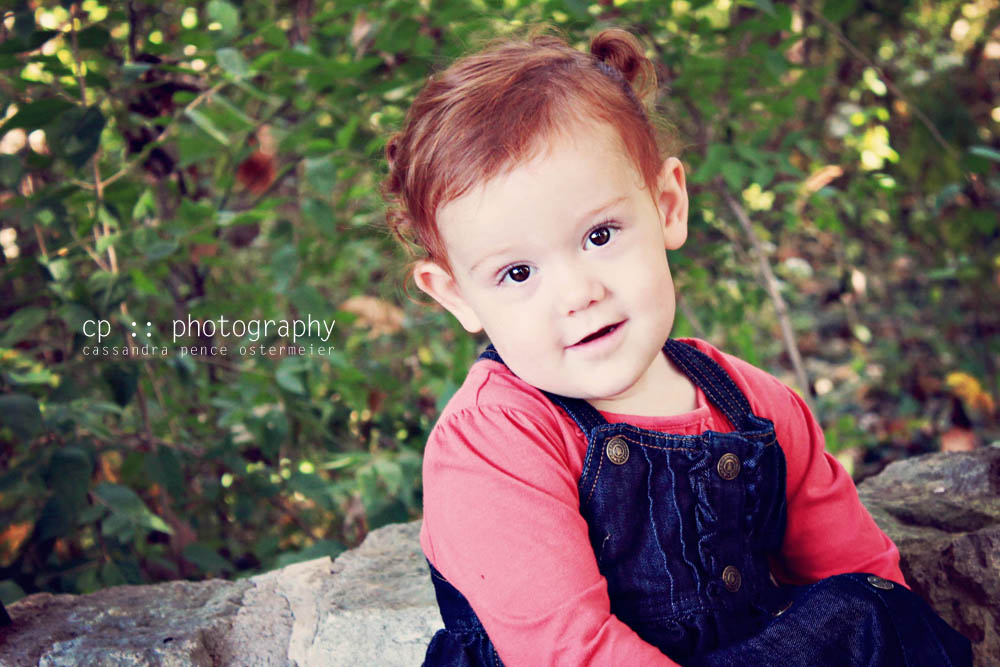 Sassafras The Moomey Family Family Photography sassafras-the-moomey-family-family-photography