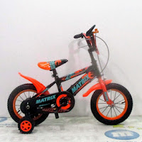 12 Matrix bmx sepeda anak