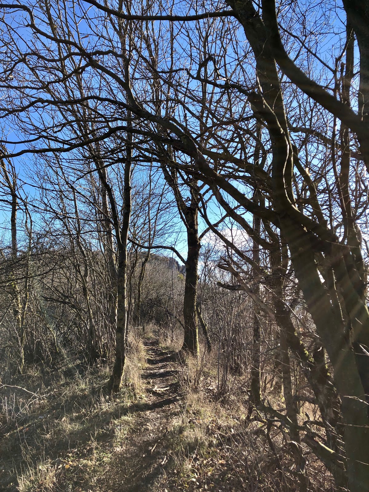Das Walberla Der Heilige Berg Der Franken