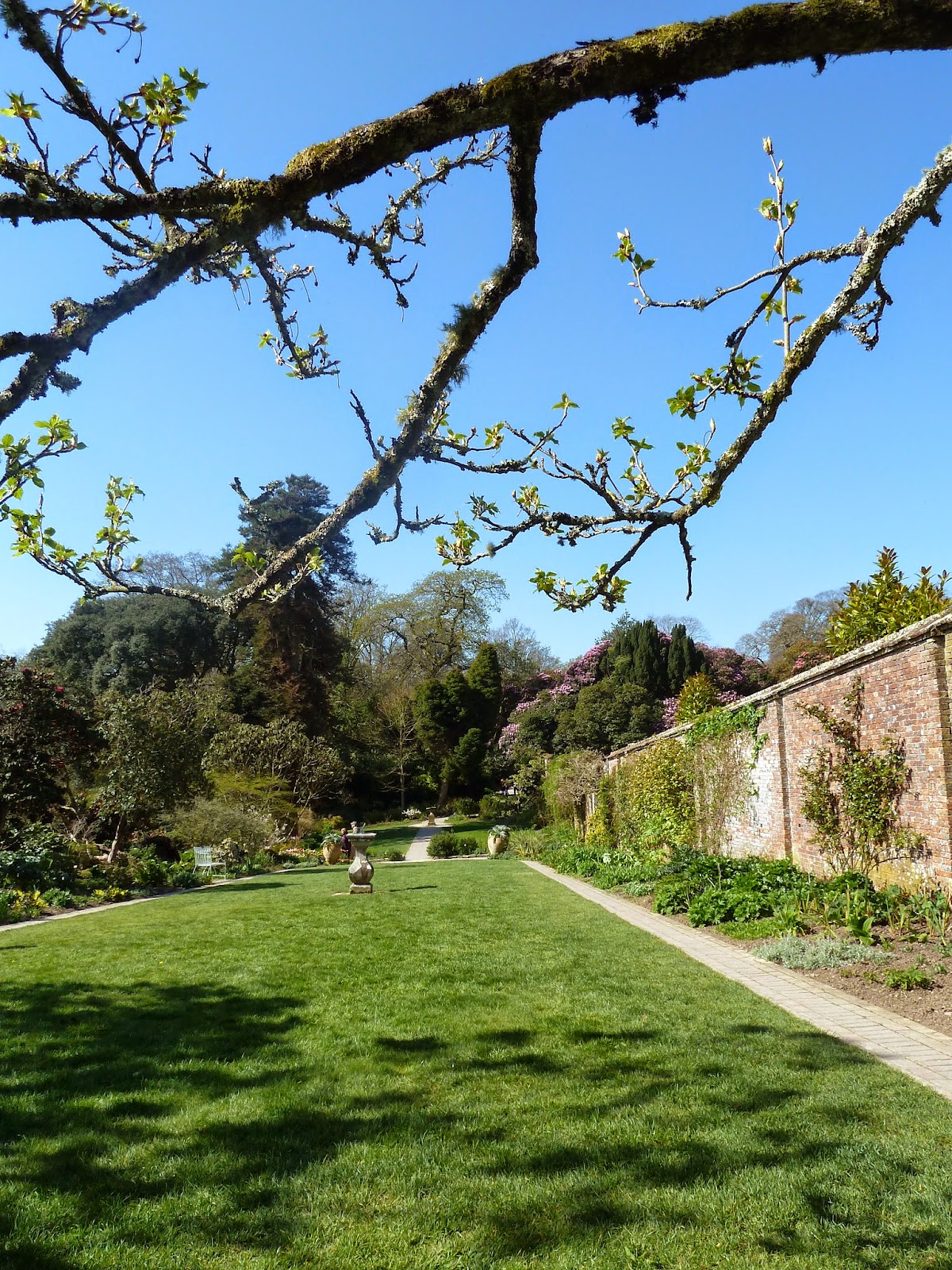Heligan Northern Gardens