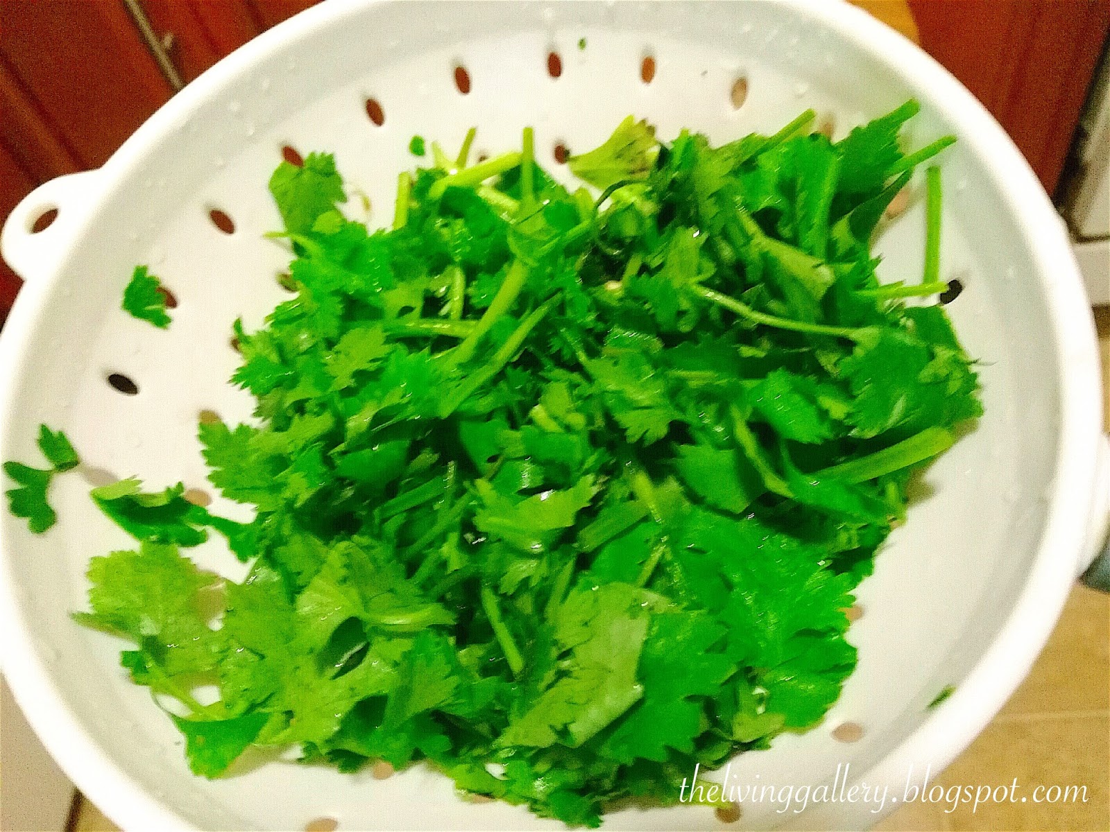 CILANTRO/CORIANDER CHUTNEY (GREEN CHUTNEY)