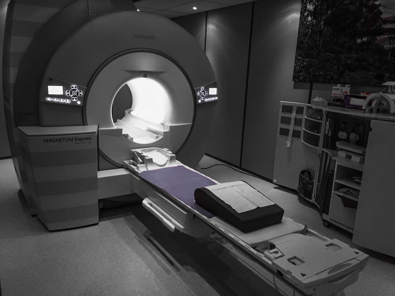 LOUD NOISES ROLLERCOASTER