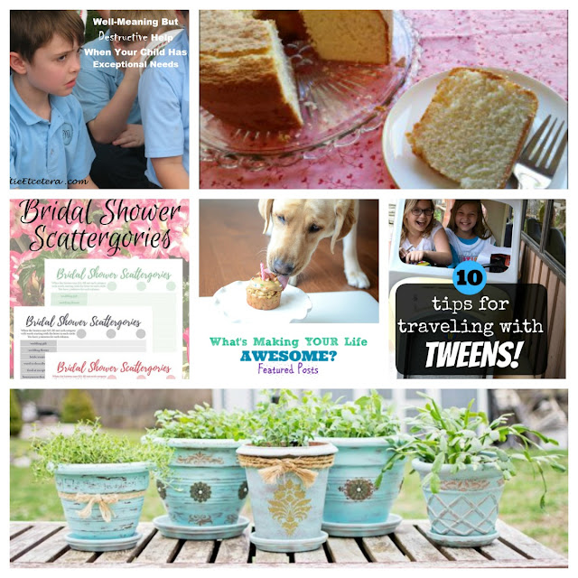 Dog Bloggers Dog Treats And Chews Reviews Dog Bloggers Dog Treats And Chews Reviews