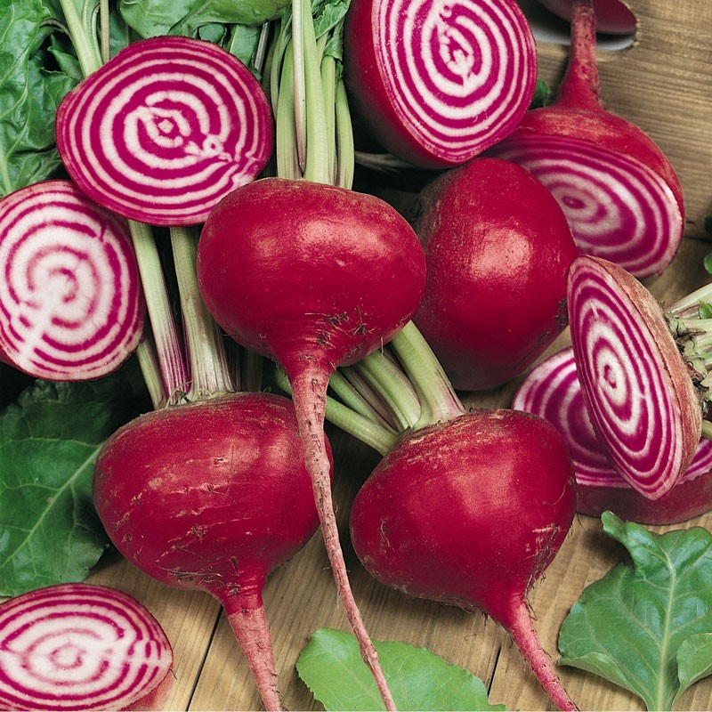 csa shares beets