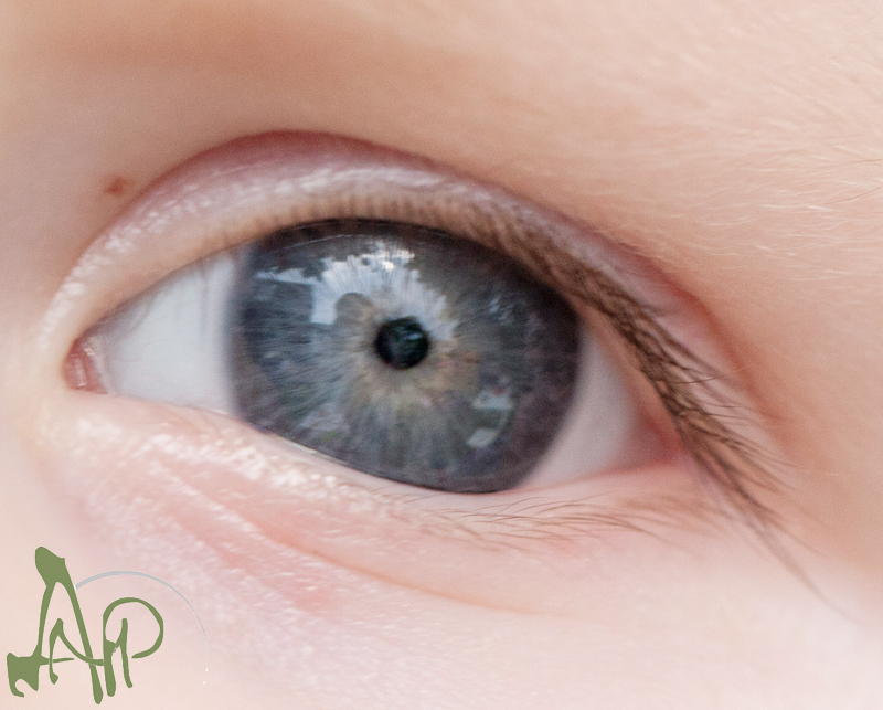 Audra May Photography: fr EYE day