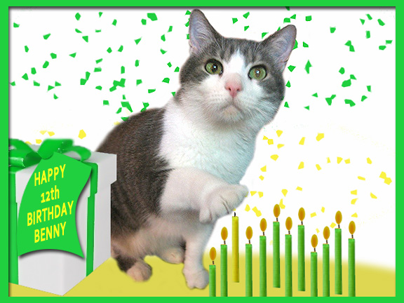 Cat Happy Birthday Benny And Sadie cat-happy-birthday-benny-and-sadie