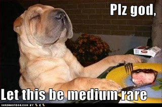 funny-dog-pictures-plz-god-let-this-be-medium-rare funny pictures - funny photos