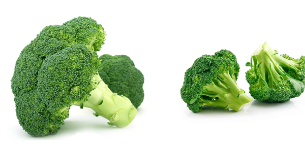 Macam Macam Manfaat Sayur  Brokoli 