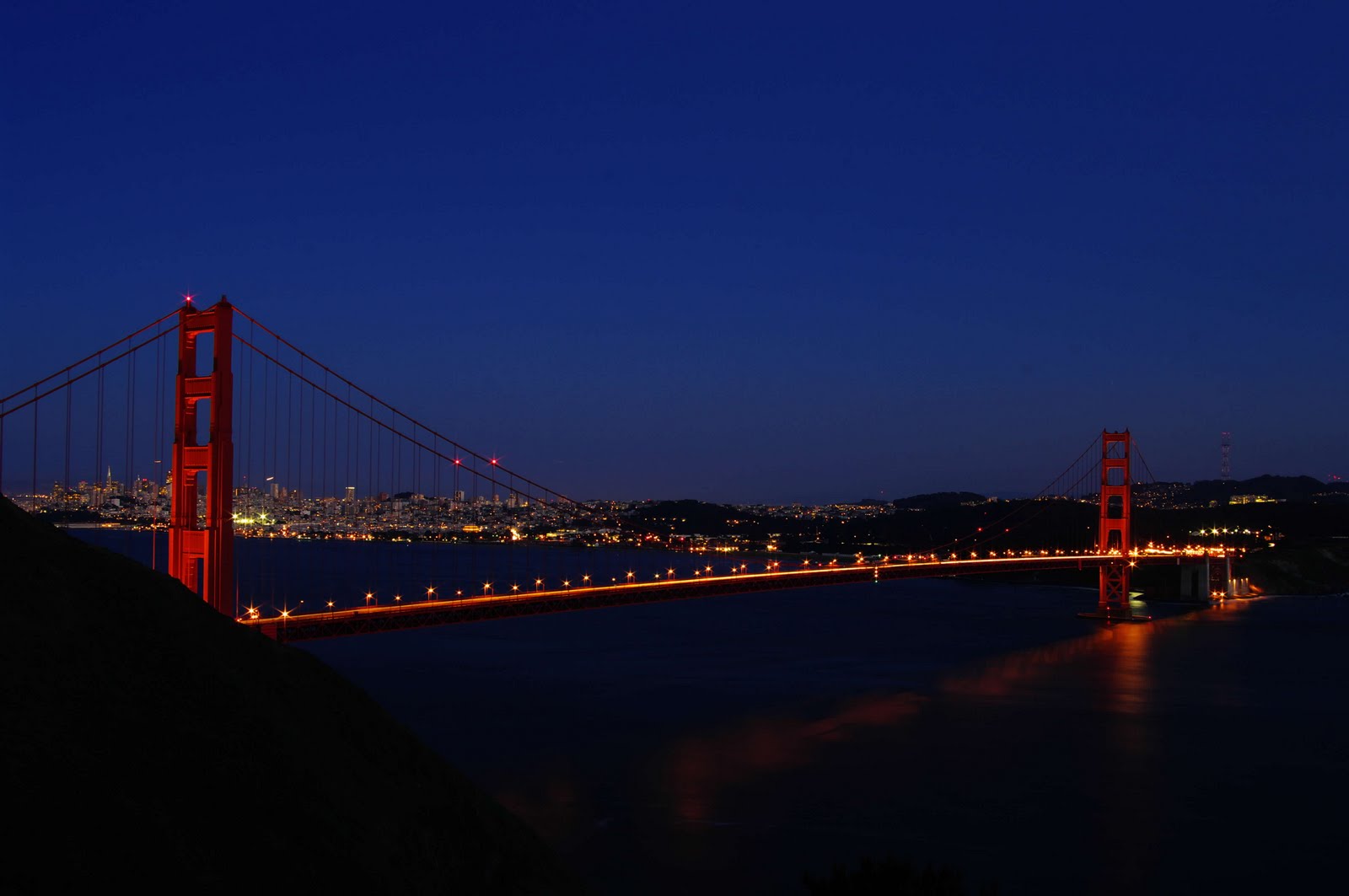 Confessions of an Overweight Chicken Some more...