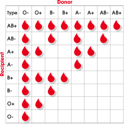 blood compatibility group rh type secrets negative