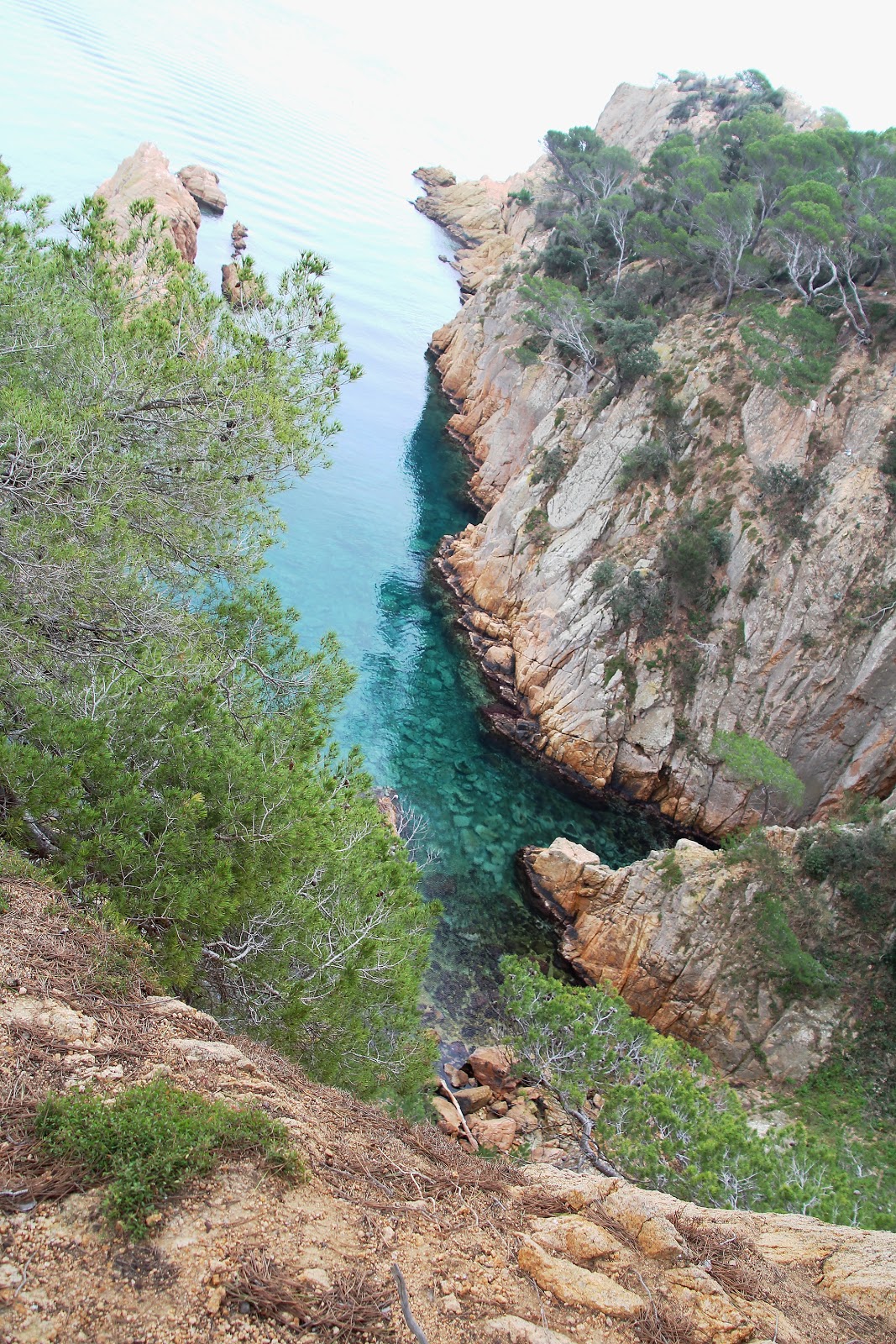 Cami de Ronda de Sant Feliu de Guixols a Sa Conca S'Agaró - Rutas Mar & Mon
