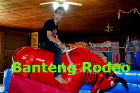 Banteng Rodeo