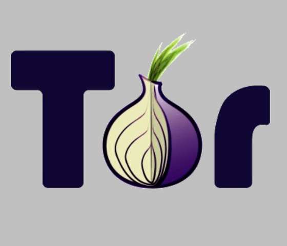 http://2.bp.blogspot.com/-c-RiYFcVt_M/Ti1ppCJILLI/AAAAAAAABL4/vzih7dotIAI/s1600/Go-Online-without-Getting-Snooped-Tor-The-Onion-.jpg