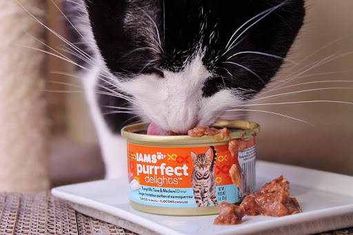 Iams purrfect clearance delights cat food