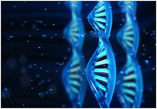 semi synthetic organism1 - दुनिया के पहले स्थिर अर्द्ध-सिंथेटिक (semi-synthetic) जीव की खोज