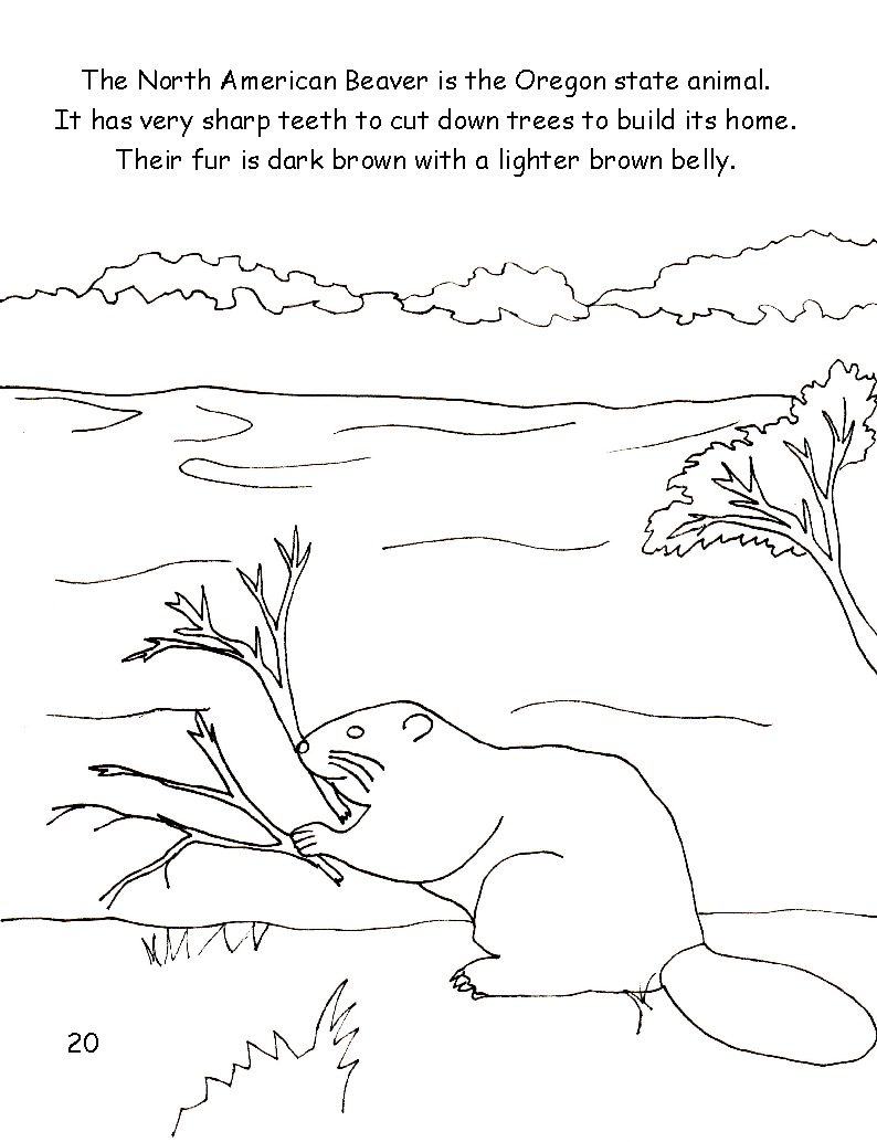 oregon state beavers coloring pages - photo #27