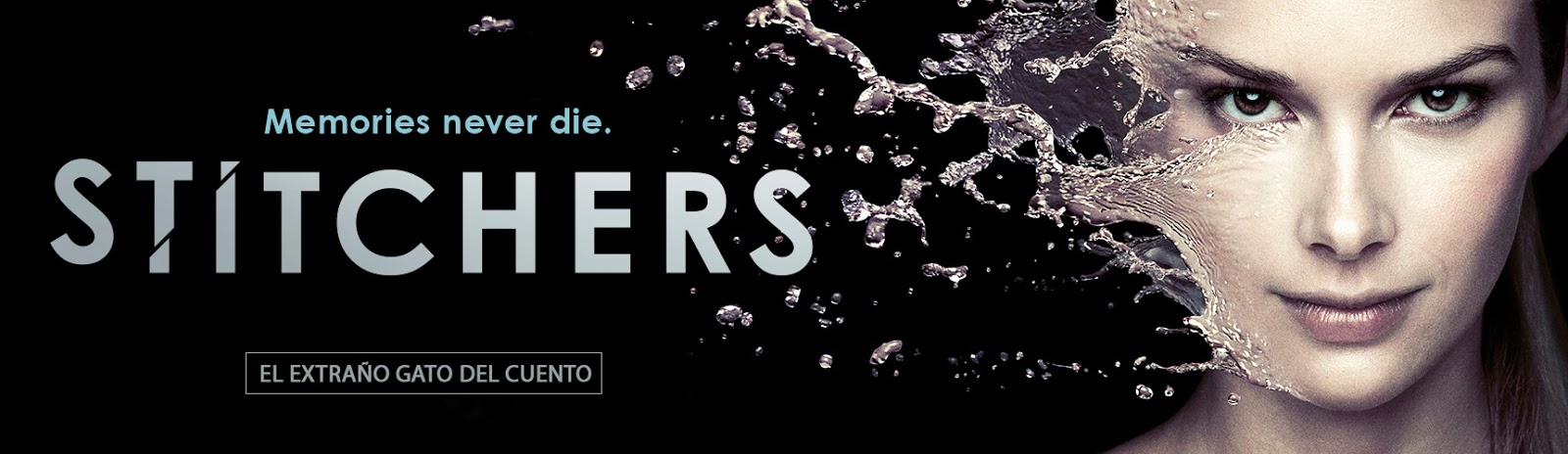 Stitchers banner