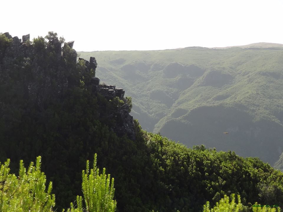 Vereda do Fanal PR13 - Madeira Turismo - Tourist Guide to the Island of